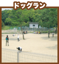 ドッグラン