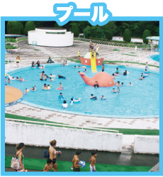 プール
